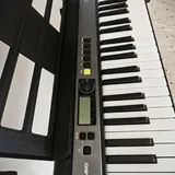 Синтезатор Casiotone LK-S250 2
