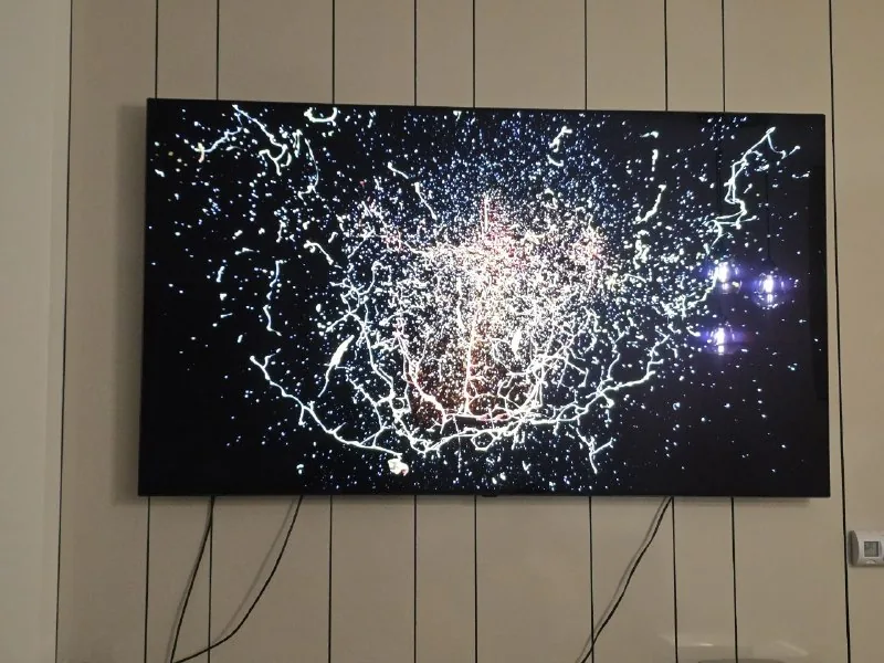 Телевизор LG OLED 65BX3LB 1