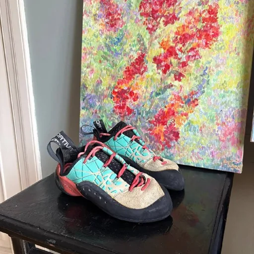 Скальные туфли La Sportiva
