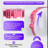 Анатомическая шлейка для собак 3