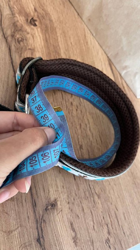 Ошейник для собаки полуудавка 4