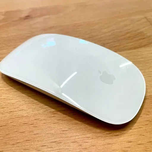 Apple Magic Mouse