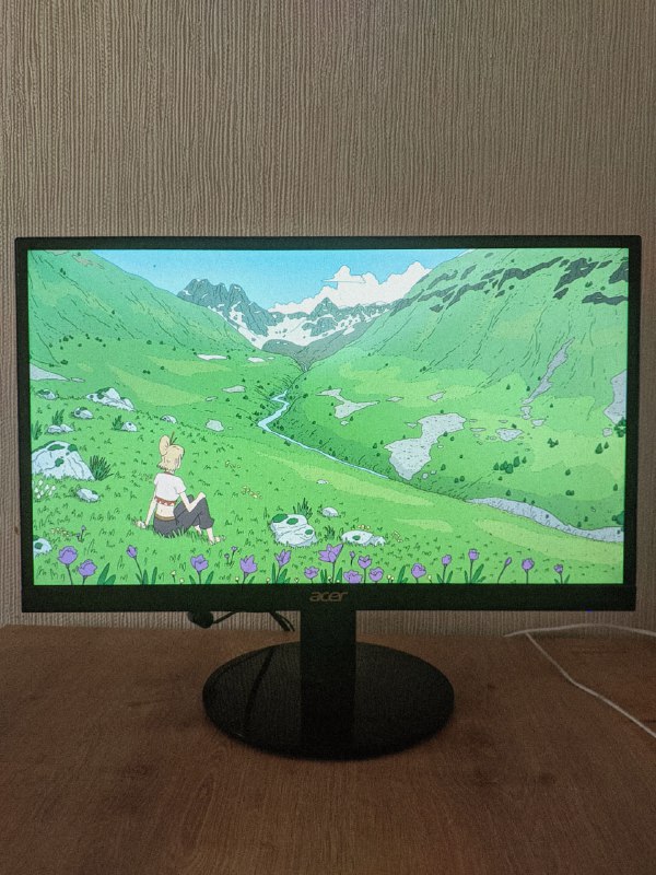 Монитор Samsung 23.6" S24E391HL, Монитор Acer EcoDisplay UM.WS0EE.A01 21.5" 3