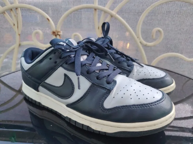 Nike Dunk Low 1