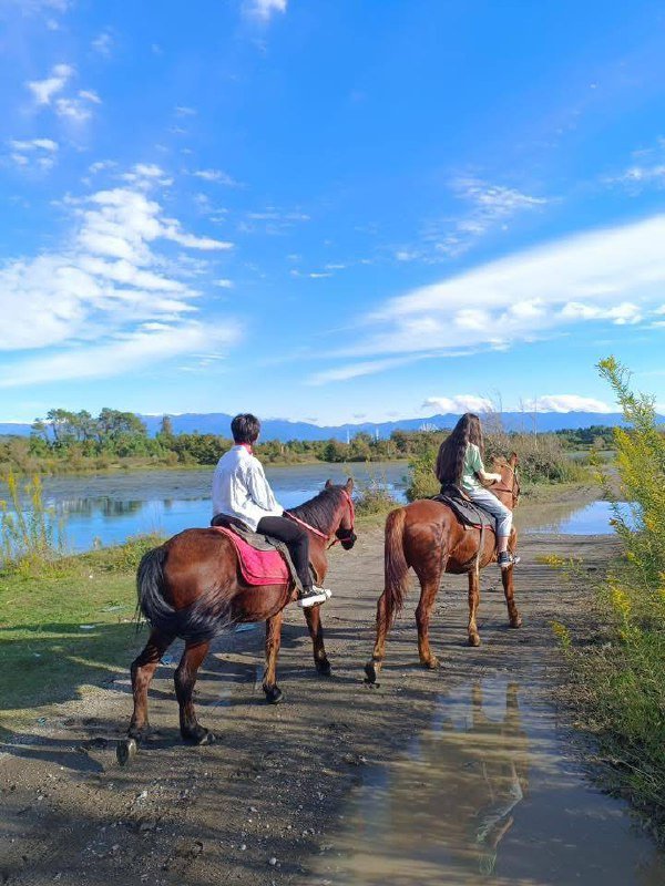 Конные туры по Шекветили и Натанеби 3