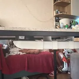 Новый стол с вытяжкой 2