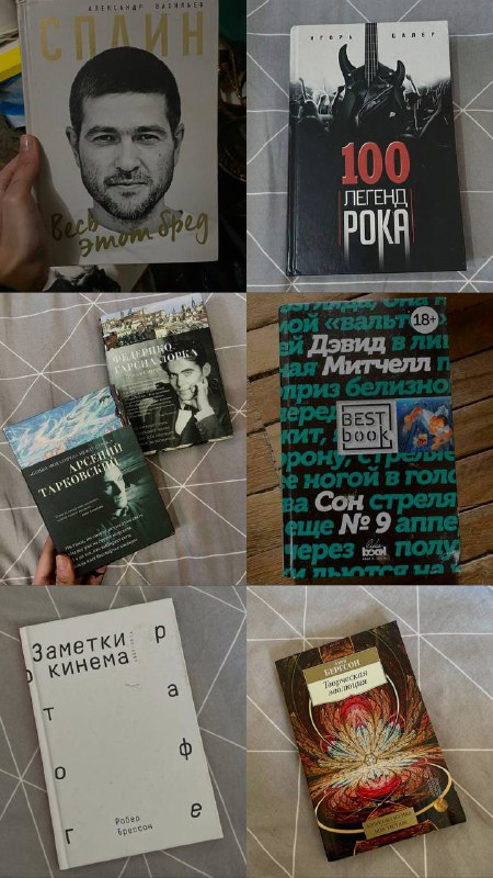 Школа для дураков, Дом, в котором, Песнь Ахилла, 100 легенд рока, Дэвид Митчелл, Арсений Тарковский и Федерико Гарсиа Лорка, Сплин, Заметки о кинематографе, Творческая эволюция, Владимир Набоков. 4 тома, Жиль Делез. Кино, Санаев 2