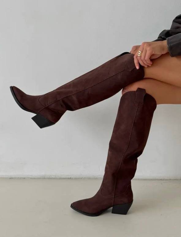 Длинные сапоги на каблуке 5