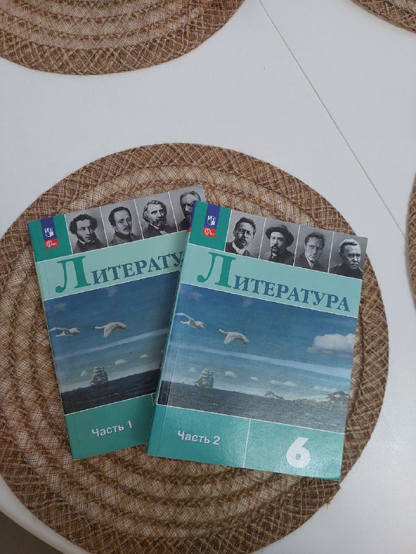 Русский язык 5 класс, 2 части 3