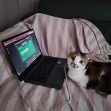 Кошка Курага ищет дом 6