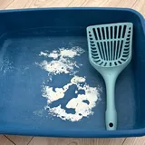 Лежанка, когтеточка, миски и лоток для кошки 3