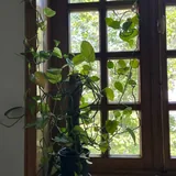 Большой эпипремнум, ковер, рейл, лампы 1