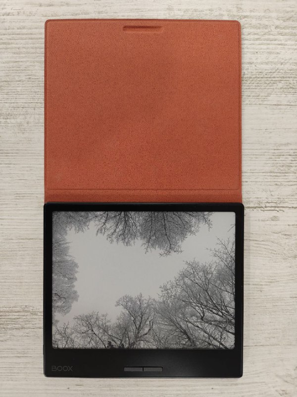 Электронная книга BOOX ONYX Page, чехол