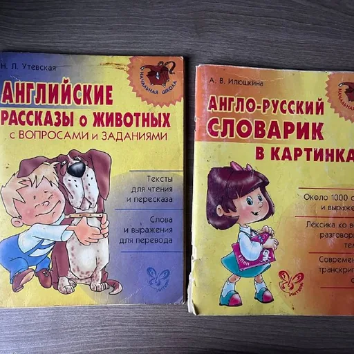 Две книги