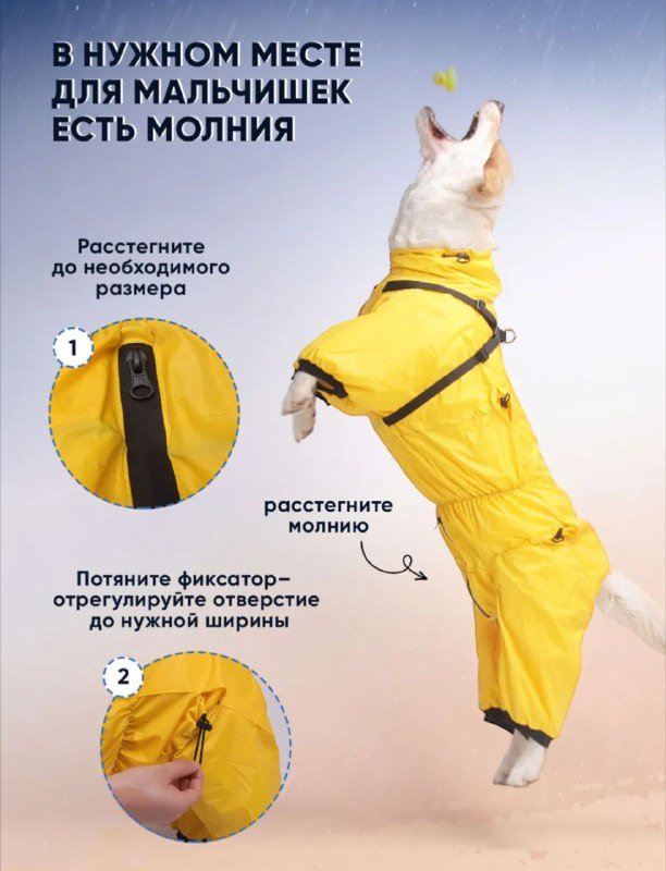 Плащ-дождевик для крупной собаки 2