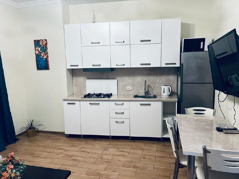 1+1 квартира на Shalva Inasaridze 23a, 60кв