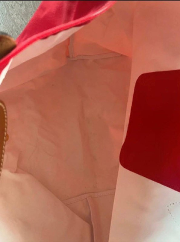 Сумка Longchamp размер M 5