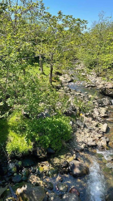 Участок 3000 м² с домом и садом в Ахалшени 8