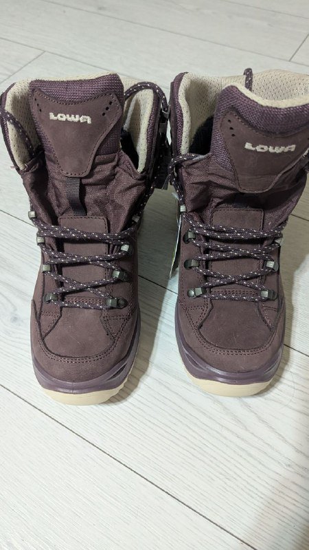 Женские трекинговые ботинки Lowa Renegade Evo GTX