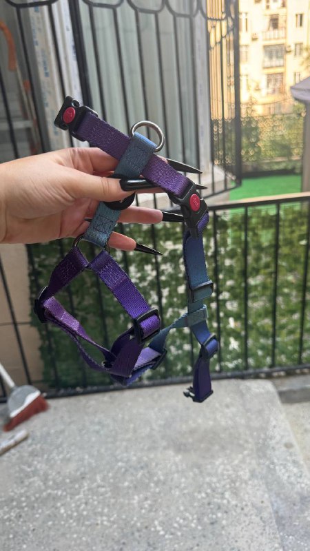 Вещи для собаки 4-5 кг, пакет 8