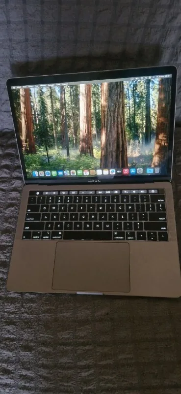 Apple MacBook Pro A1989 1