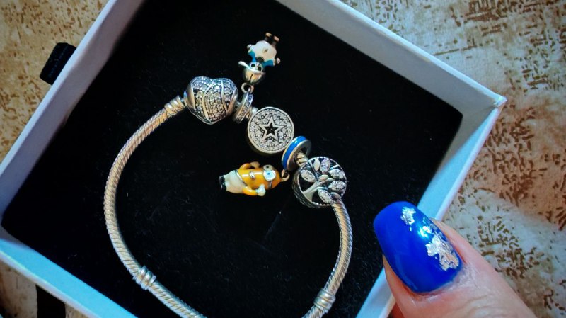 Casio watch, Pandora bracelet, set of brushes 3