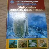 Книги 8