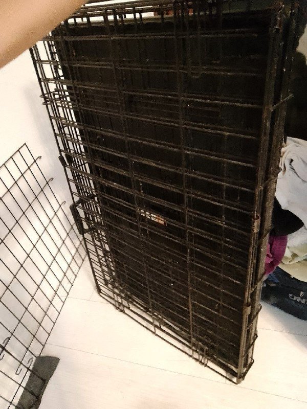 Компьютерное кресло, прожектор, гитара Fender, клетка для собак, велосипед Trinix 6