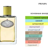 Prada Les Infusions – Infusion de Gingembre, Eau de Parfum, 100 мл 2