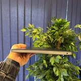 MacBook Pro M2 13.3 дюйма 6