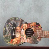 Укулеле с чехлом 2