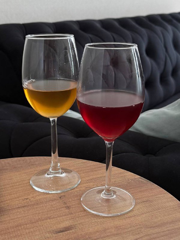 Чайный гриб для комбучи, 2 штуки