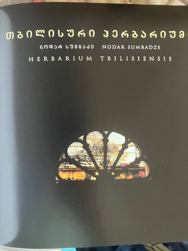 История Тбилиси и Мцхеты, Архитектурный гербарий, рассказы 2