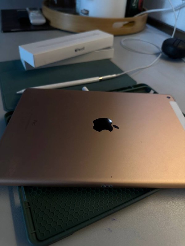 iPad, Apple Pencil, Чехол, зарядный переходник