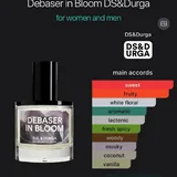 PHLUR Missing Person, D.S. & DURGA Debaser in Bloom 5