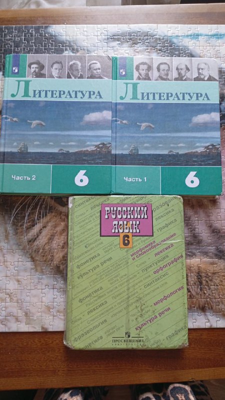 Учебники литература и русский язык 6 класс