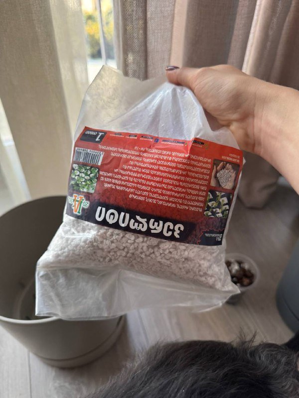 Аспарагус перистый большое комнатное растение 5