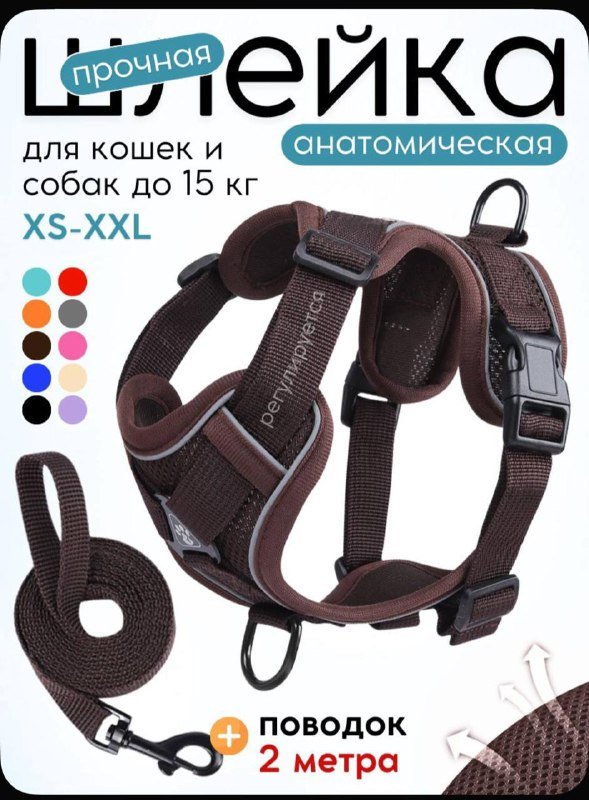 Анатомическая шлейка для щенка с поводком и адресником