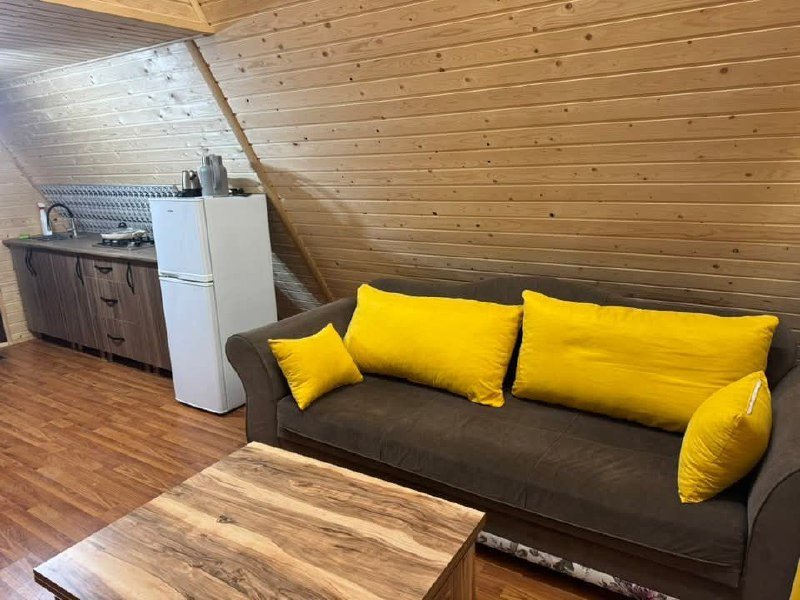 Уютный изолированный коттедж в Цихисдзири 3