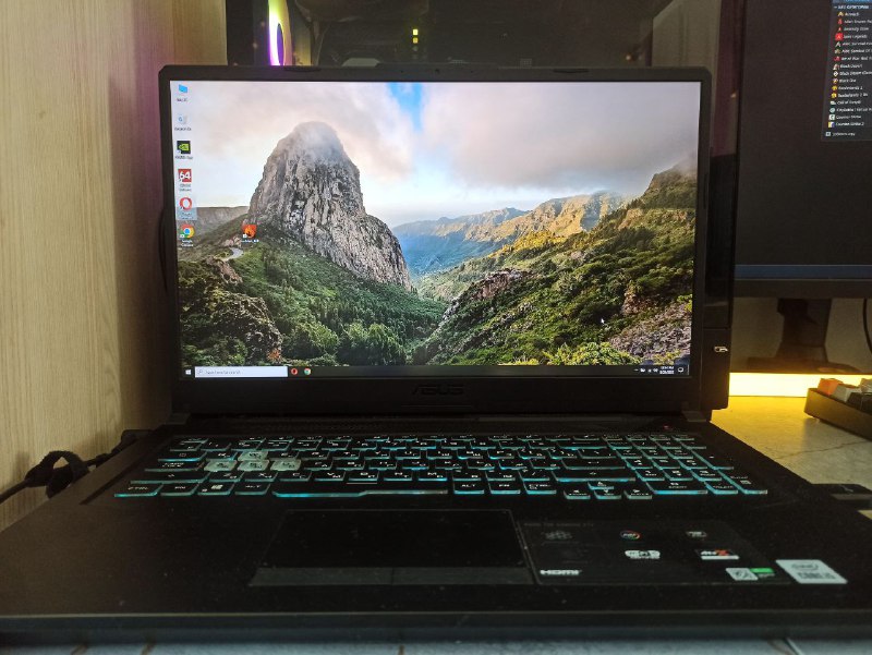 Игровой ноутбук ASUS TUF Gaming FX706LI 3