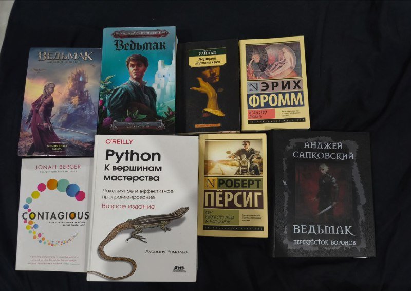 Книги по ведьмаку, Искусство любить, Contagious, Python. К вершинам мастерства, Искусство ухода за мотоциклом