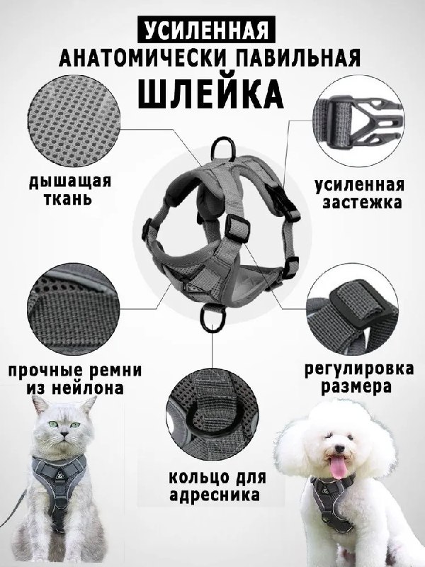 Шлейка для собак мелких и средних пород 4