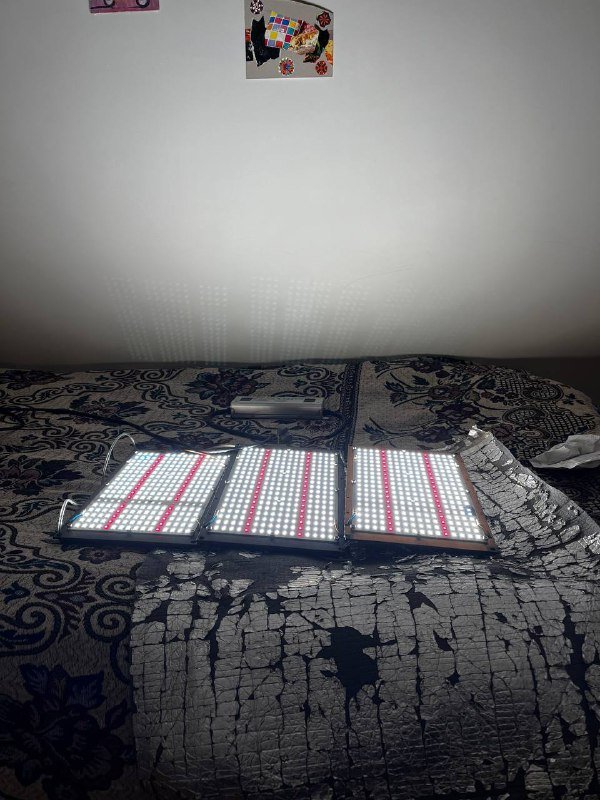 Лампа для выращивания растений, full spectrum, 250 ватт 5