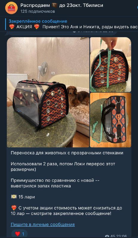 Переноска для собаки с прозрачными стенками