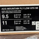 Nike ACG Mountain Fly Low Gore-Tex SE 6
