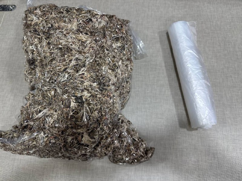 Цетрария (исландский мох) 100 гр 2