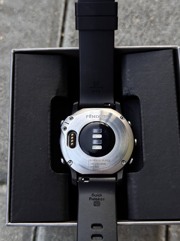 Garmin Fenix 6s 42mm 4