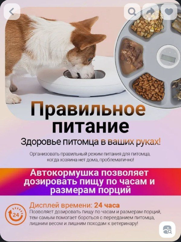 Автоматическая кормушка petwant 4