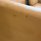 Угловой диван 5