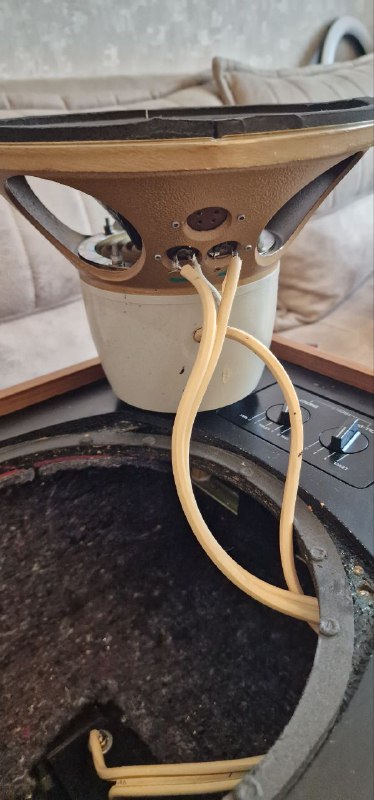 Акустика Tannoy Eaton HPD 295 6